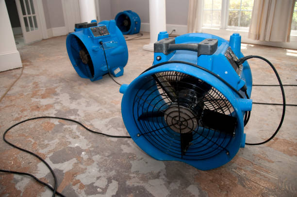 Best Carpet water damage restoration  in East Moline, IL